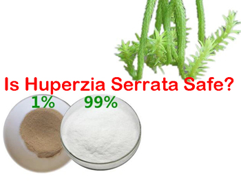 Is Huperzia Serrata Safe?